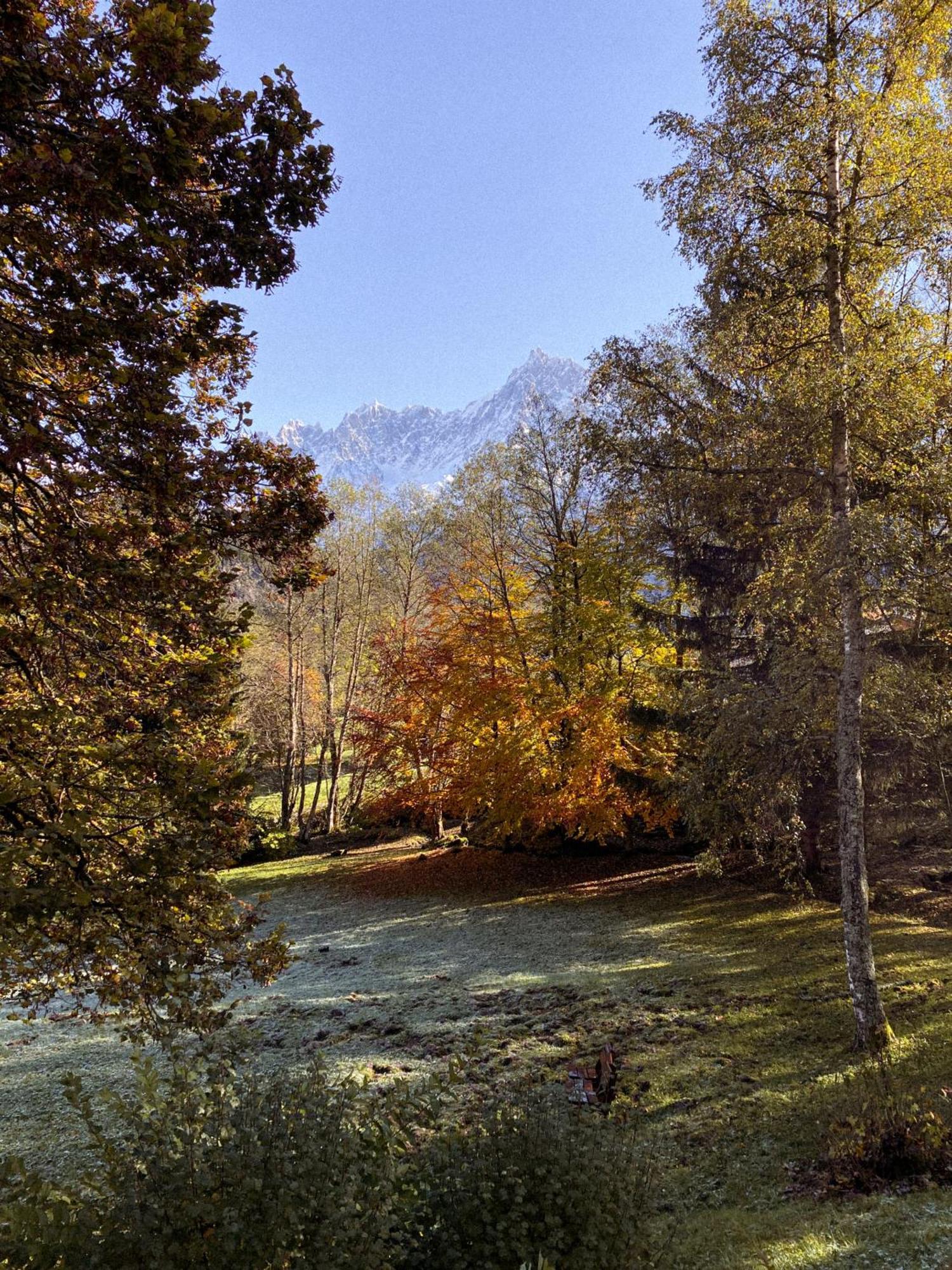 Chalet Vinales Les Houches Zewnętrze zdjęcie
