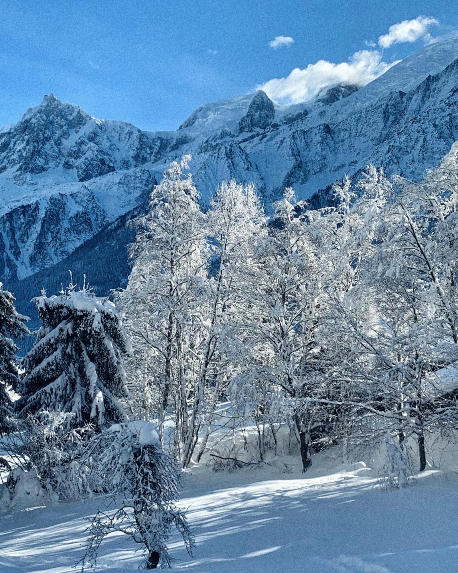 Chalet Vinales Les Houches Zewnętrze zdjęcie